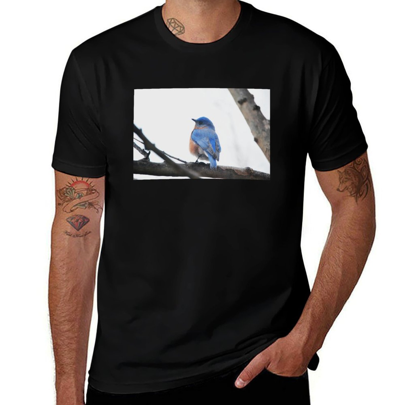 Photography Training - 남성용 Eastern Bluebird 자연 사진 티셔츠