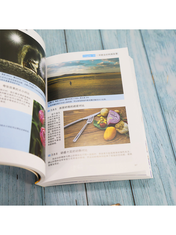 Book-Winshare 초보자부터 전문가까지 디지털  - Photography University 리뷰 및 가격
